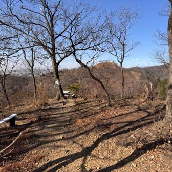 ベンチあります