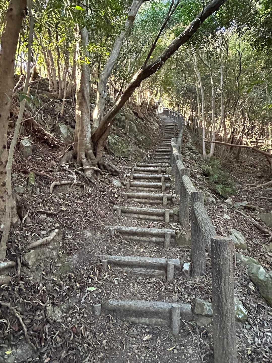 階段地獄
がんばります😤

実はこの辺りでは女子２人となってる…

はる〜さんが、ポーチがない！！と、なり
引き返すことに…😓