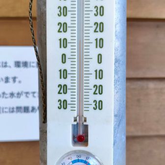 気温は12℃！あれ、意外と寒くない？