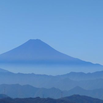 ズームしてみたり