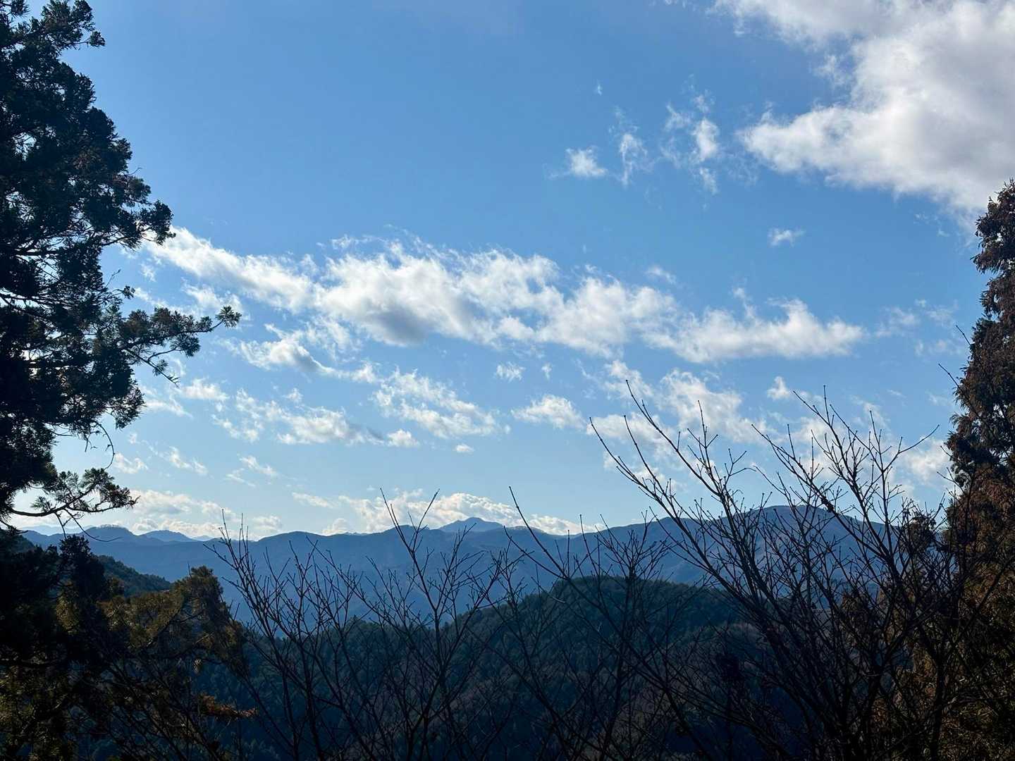 吾野駅-天王山-竹寺-豆口山-豆口峠-子ノ山-西吾野駅 縦走コースの写真
