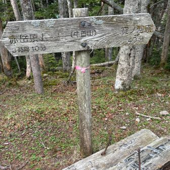 牛首山地味