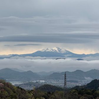 雲海が凄かった