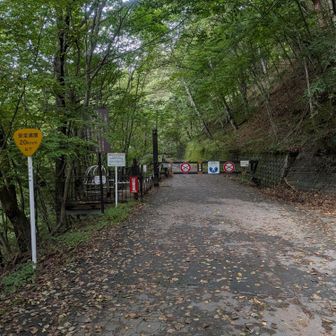 これが有名な西沢渓谷…、ゴクリ…