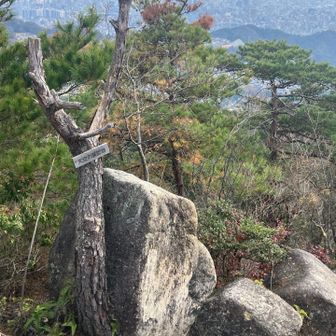 天空の展望岩🪨