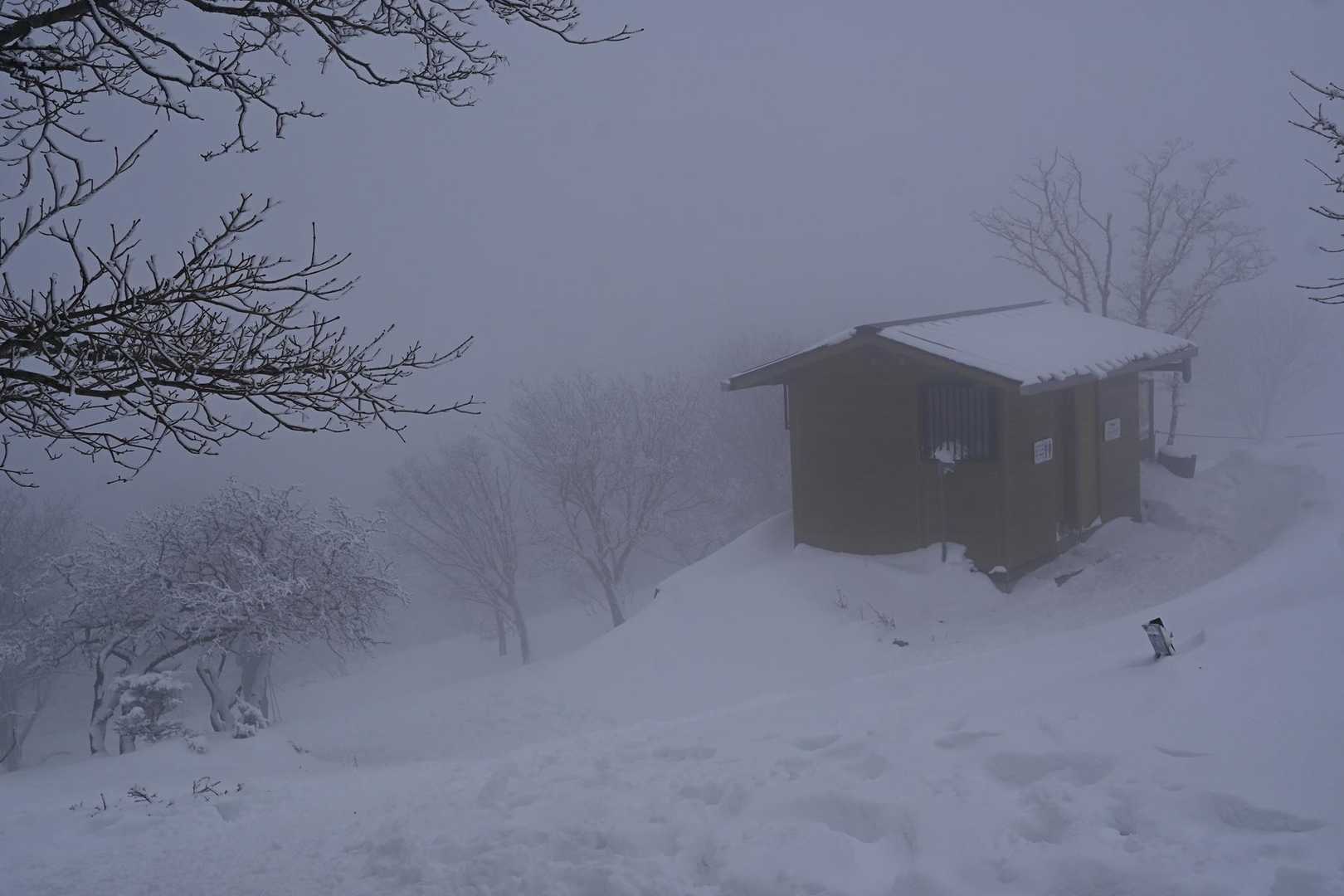 大貝戸コースの写真