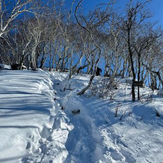 山頂直下
トレースの有り難さが身に染みる
