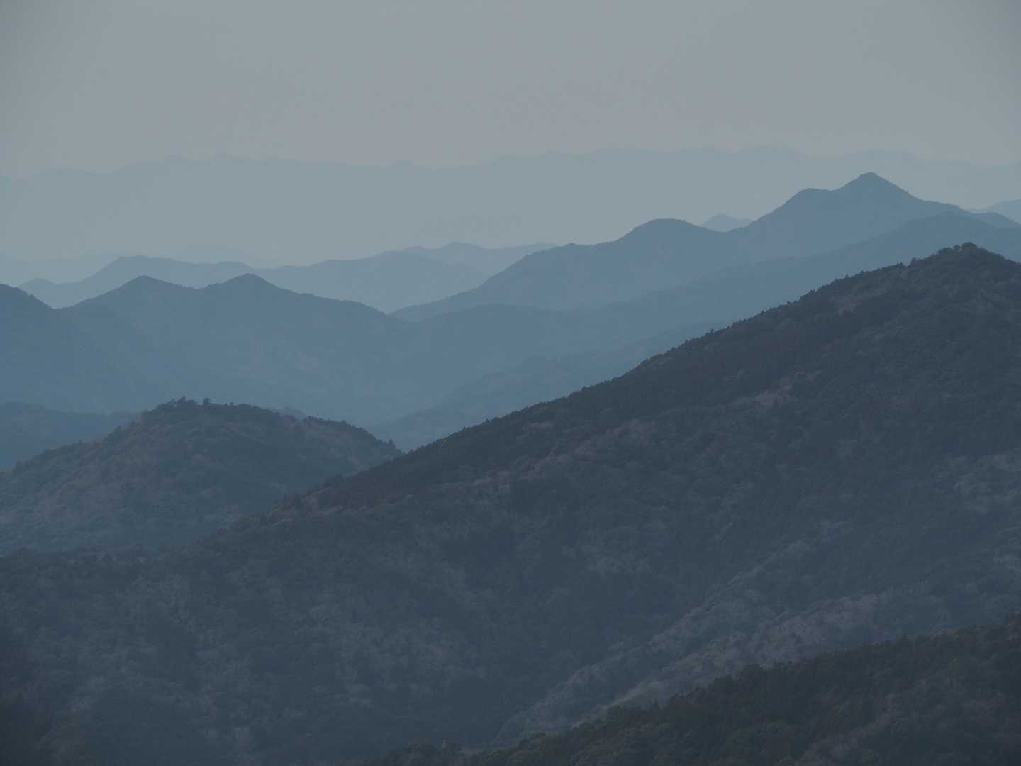 剣峠-八称宣山-京路山 周回コースの写真