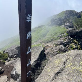 そして早くも今年１０回目の登頂⛰️
内６月は５回目🤣

山頂では蝦夷富士小屋で買った羊蹄山Tシャツの生みの親、天神山さんの知り合いの女性（岡山から来られて羊蹄山が日本百名山９９座目だそう）がいて、俺がTシャツ着てきたのを見て感激されてました😊
