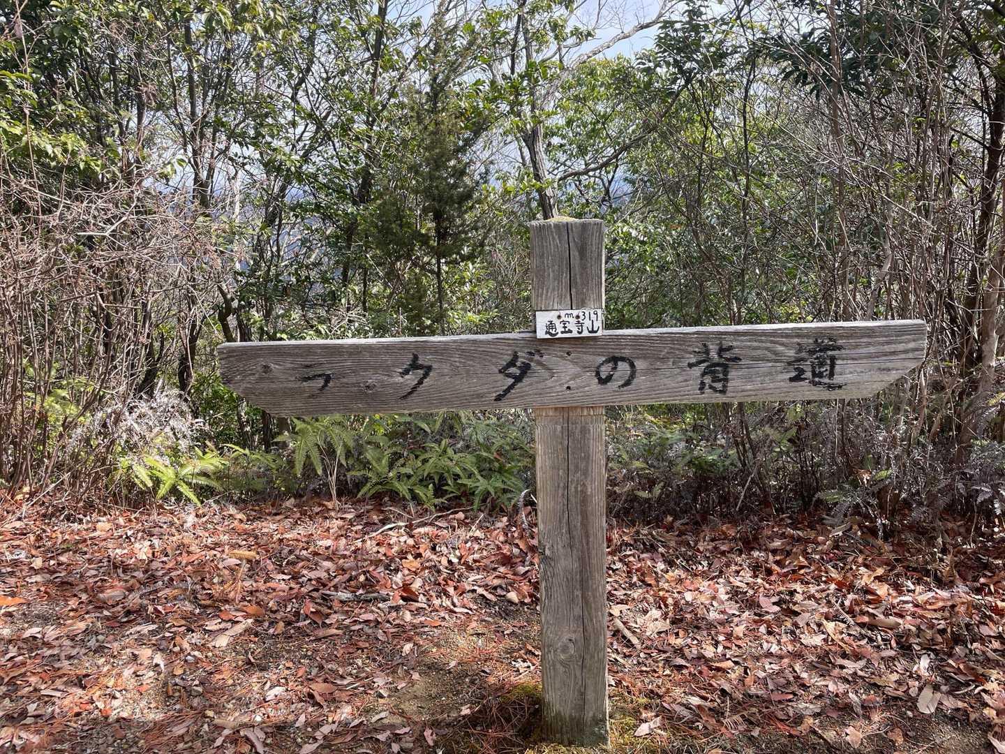 通宝寺山山頂です。
ここにも山頂プレートと風鈴が有ったのですが、やはり無くなっていて、表示板にプレート貼り付けてますね😅