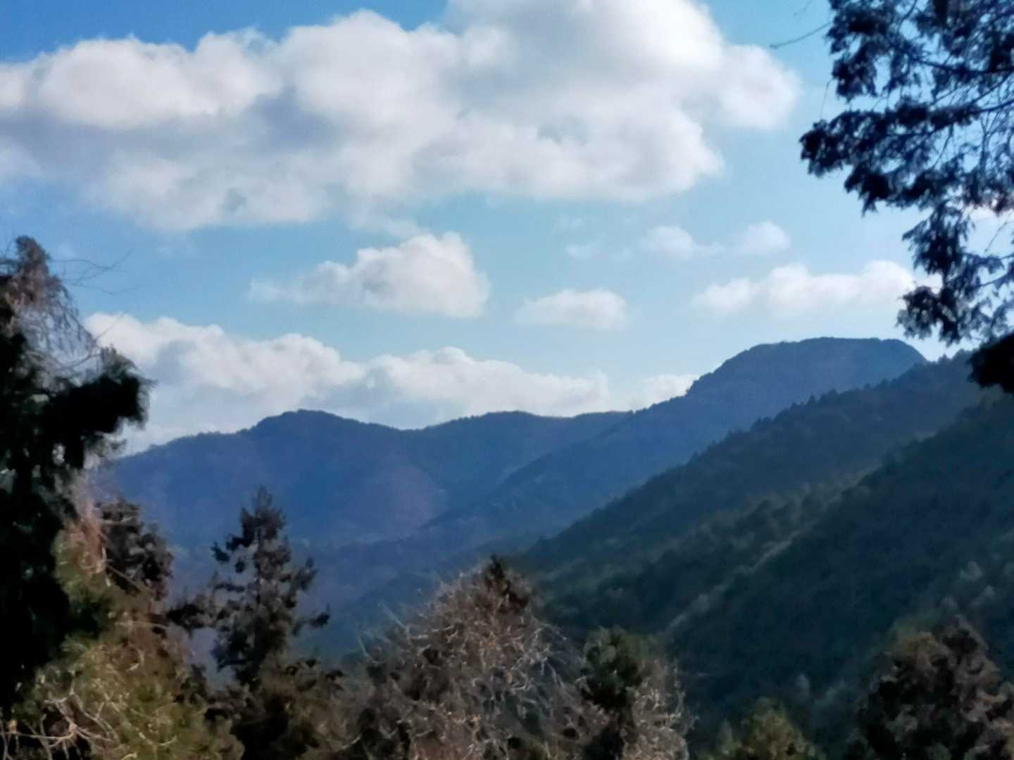 右奥の山頂が平らなのが大鳥屋山