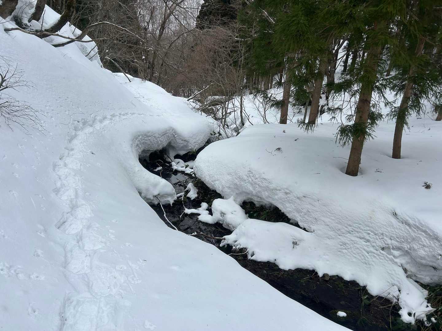 あとはゆっくり峠の中を、