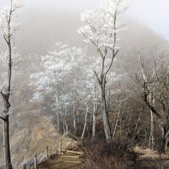 KZ