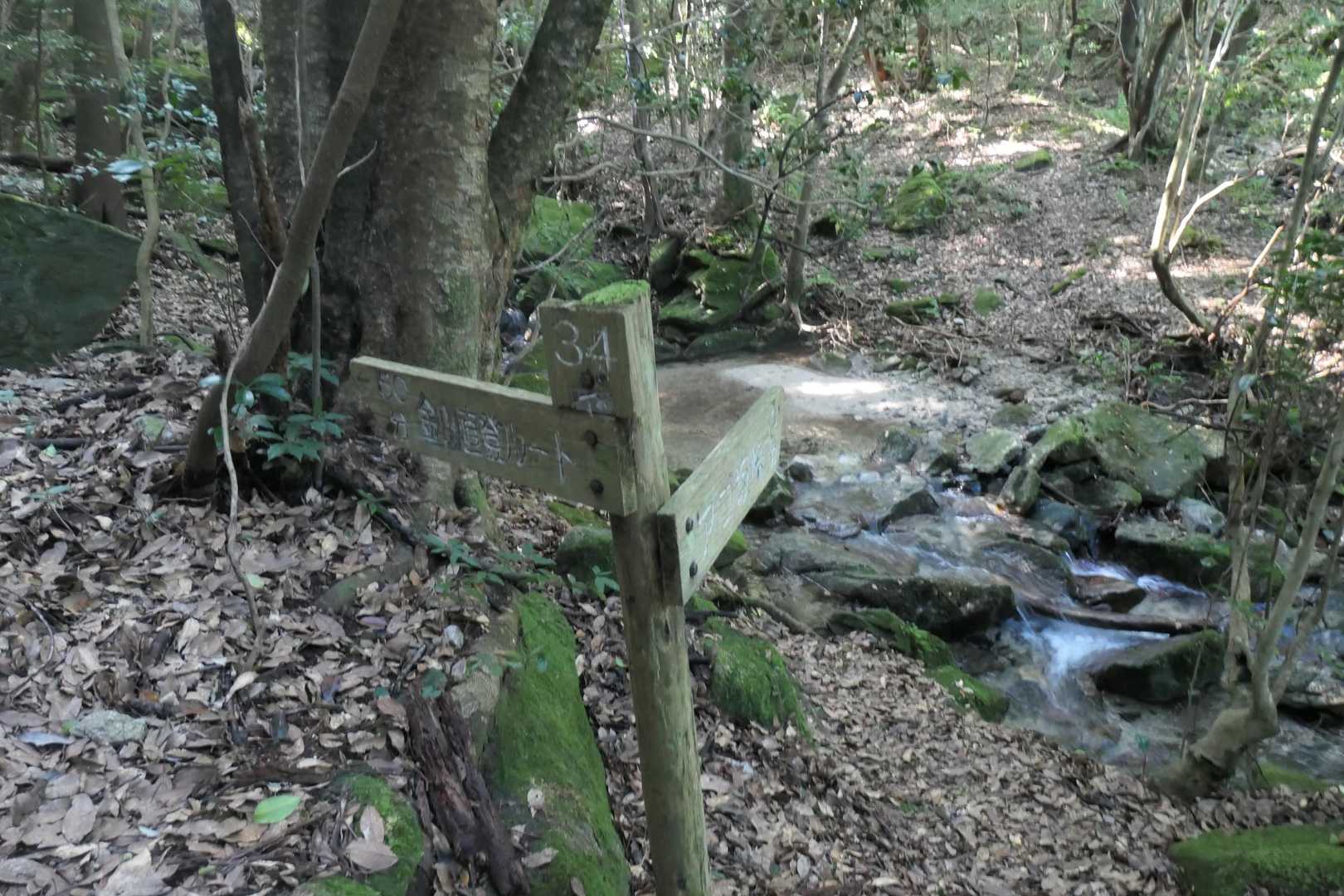 直登ルートへ
