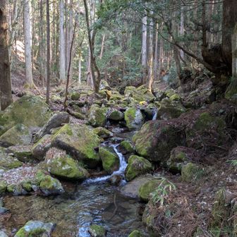 ほんとキレイだな。何なんだここは