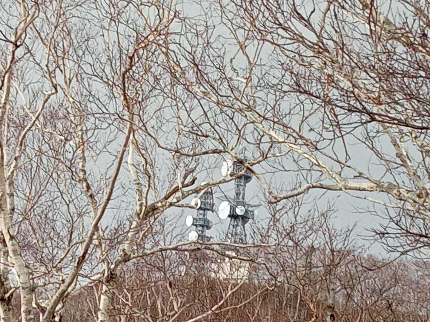 仁頃山 周回コースの写真