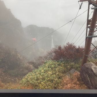 霧がはれて🌁
白鉄塔見えた🙌

ここでお話しさせてもらった
登山歴40年の大先輩から
今日は悪天候でナイター営業中止みたいだよって
教えてもらう😭

ここで日没待ってライトアップ見ようと思ったのに、、
ナイター営業中止ならライトアップないと予測し
ナイト下山🌉のつもりで来たが、
日没前にそそくさと下山することに、、😓