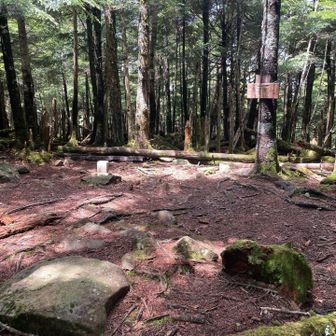大勢で訪れる山ではないので、山頂の広さは十分そう。