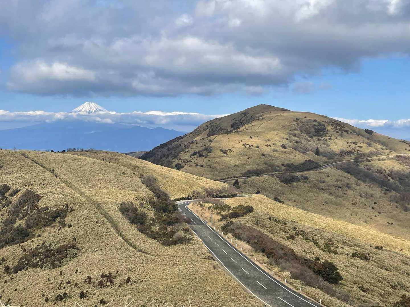金冠山〜小達磨山〜達磨山〜古稀山〜伽藍山　往復コースの写真
