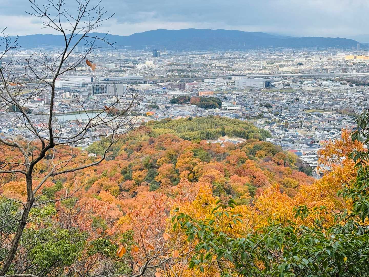 寝屋川公園駅-池之内山-星田駅 縦走コースの写真