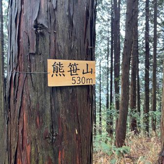 熊笹山💪