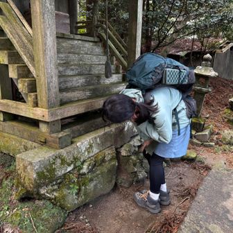 以前まで無かった鈴に驚くも気になるのはトカゲの行方🦎
以前ビックリするほど大きなのがいました🫢