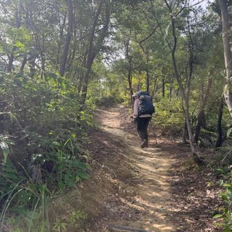 よく整備された登山道✨