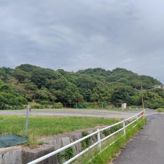 このあたりから登るのか