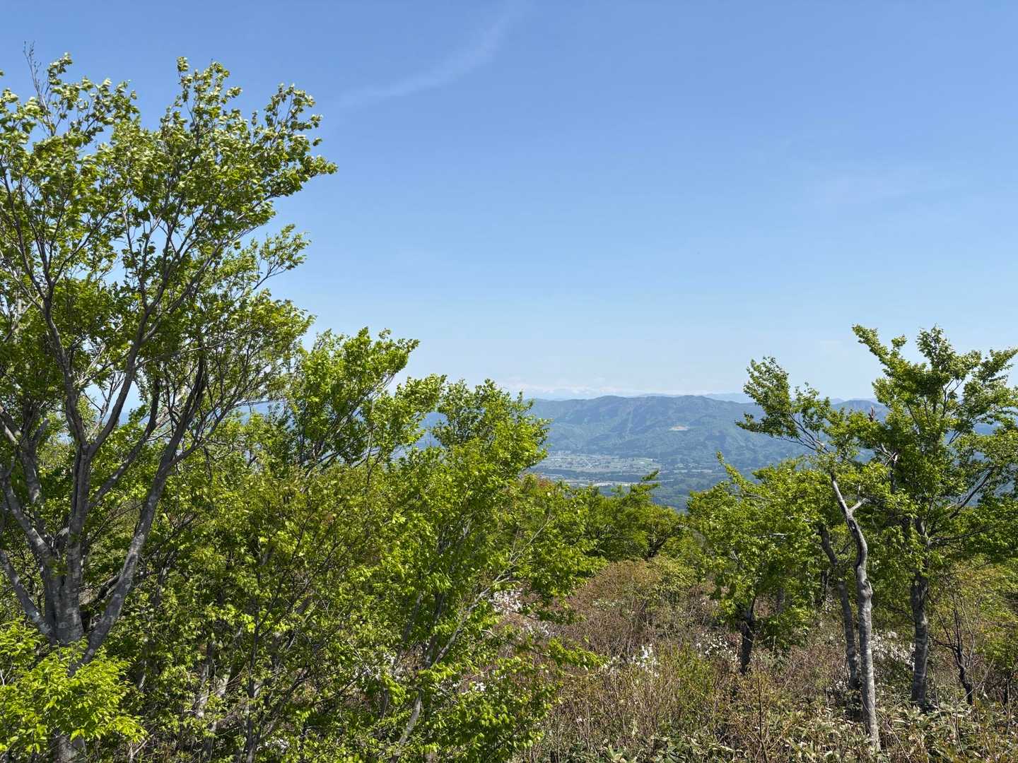 立山⛰️