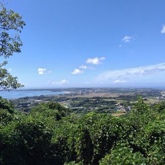 暑い。。。