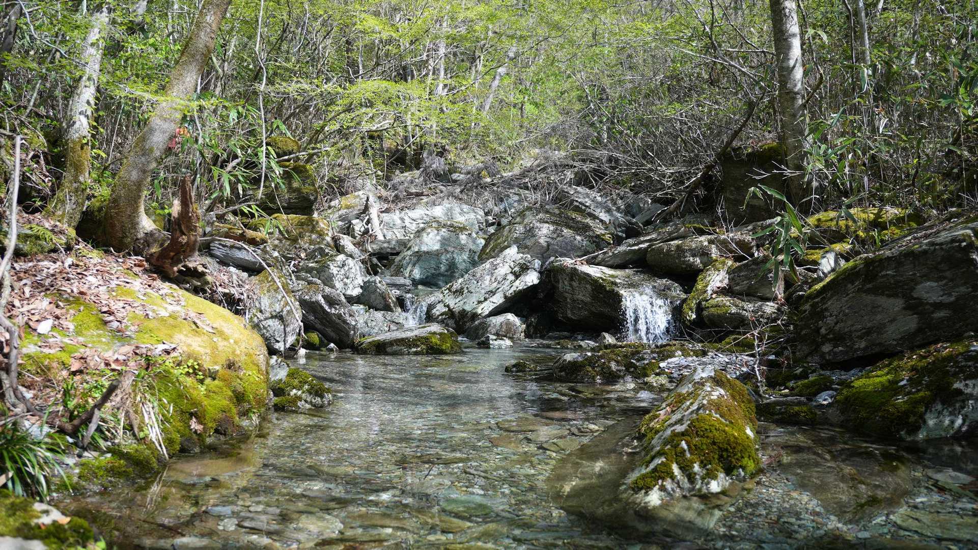 稲叢山 周回コースの写真