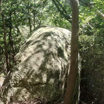 象の背岩に似てるね😙
