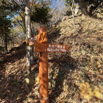 山頂までまだまだあるなー（笑）