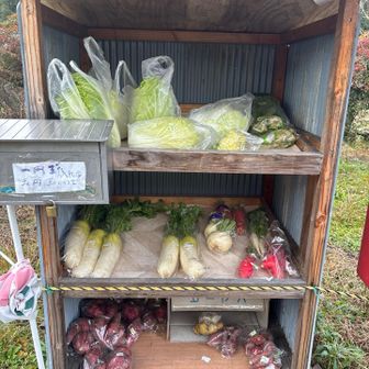千早口駅前の無人販売
果物期待しましたが野菜ばかり
白菜150円とか激安やけど😅