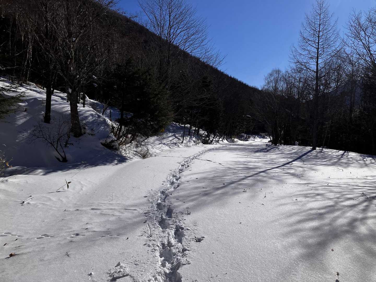 冬季閉鎖の山王林道。