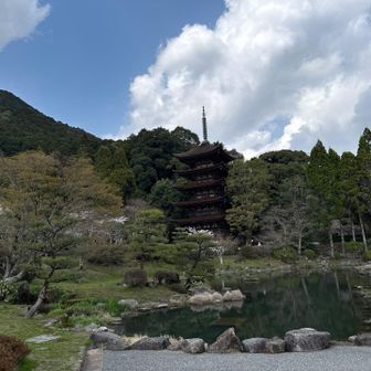 まずは国宝瑠璃光寺五重塔へ。