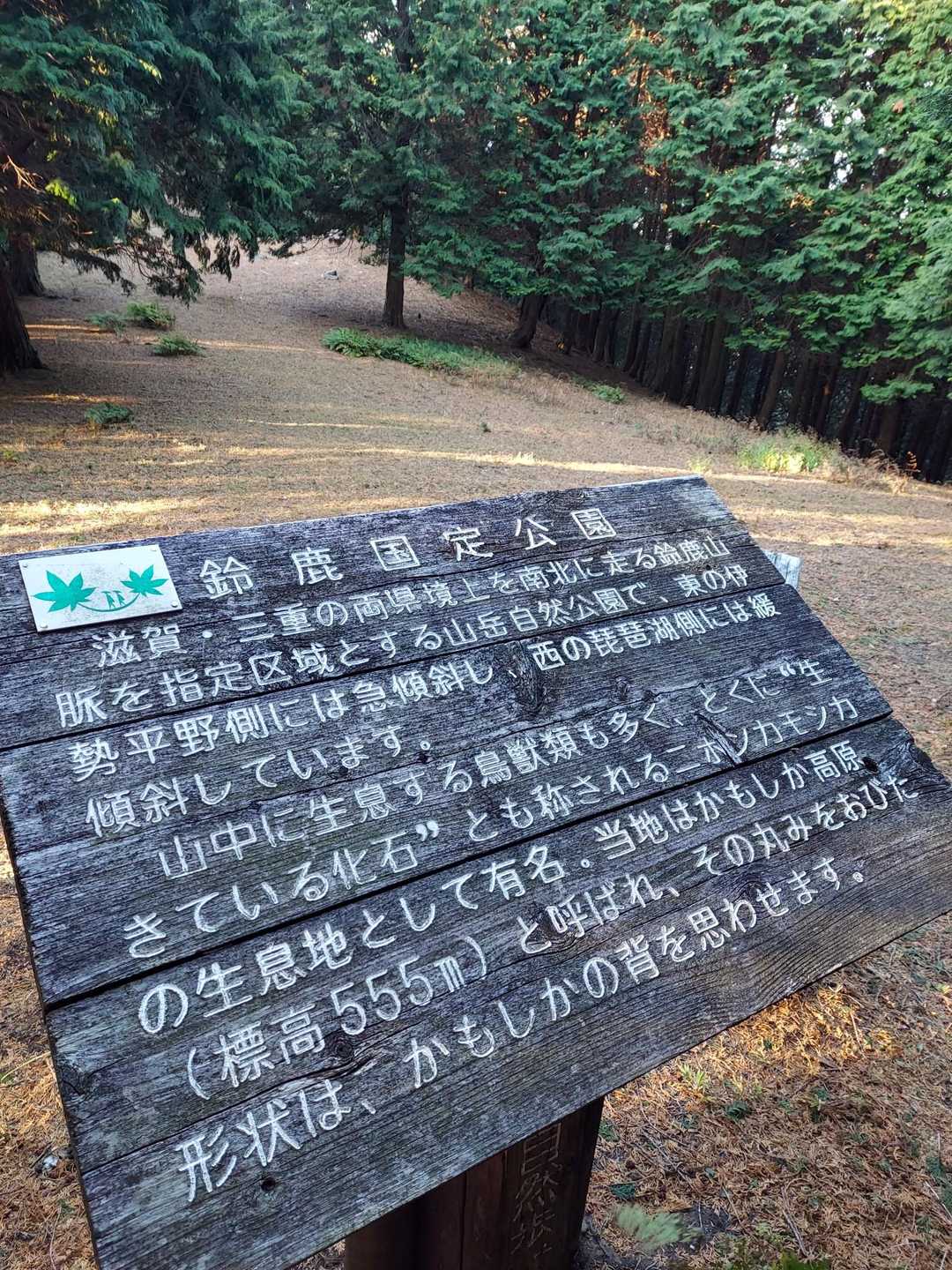 かもしか高原　標高555m