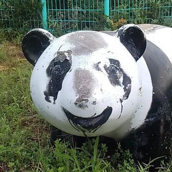 トゥースヌプリ