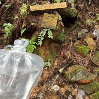 飲めますって書いてるから信じてウォーターキャリーにチャージした