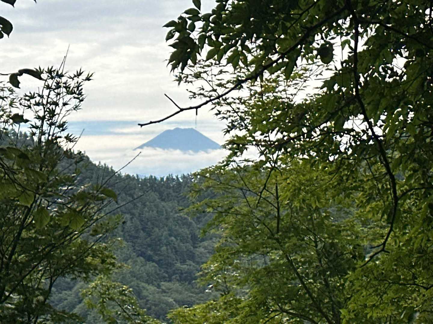 要害山山頂からの富士山