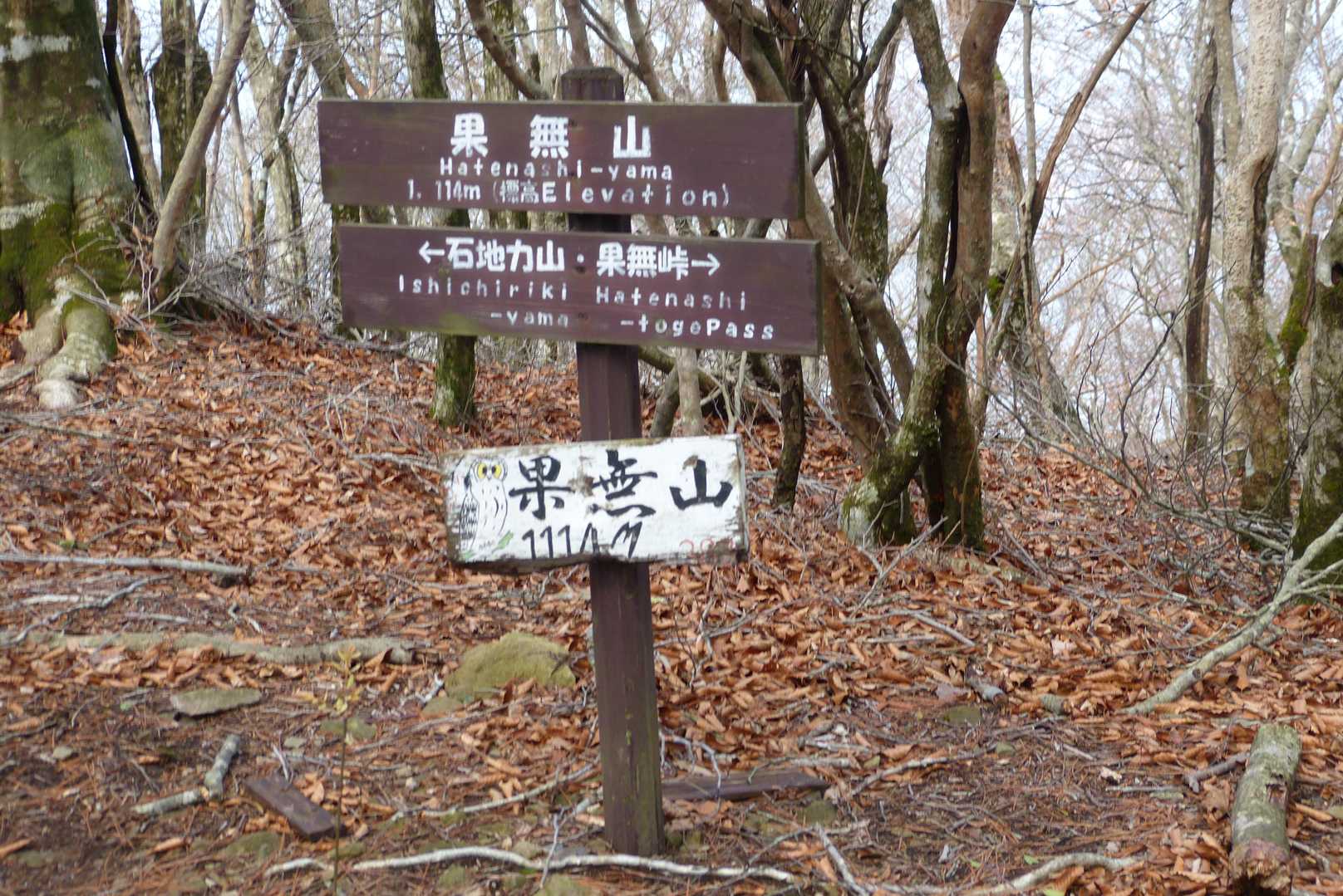 峠から山頂はほんの数分。標高1114mです。風が強かったので、峠まで戻ってお昼休憩としました。