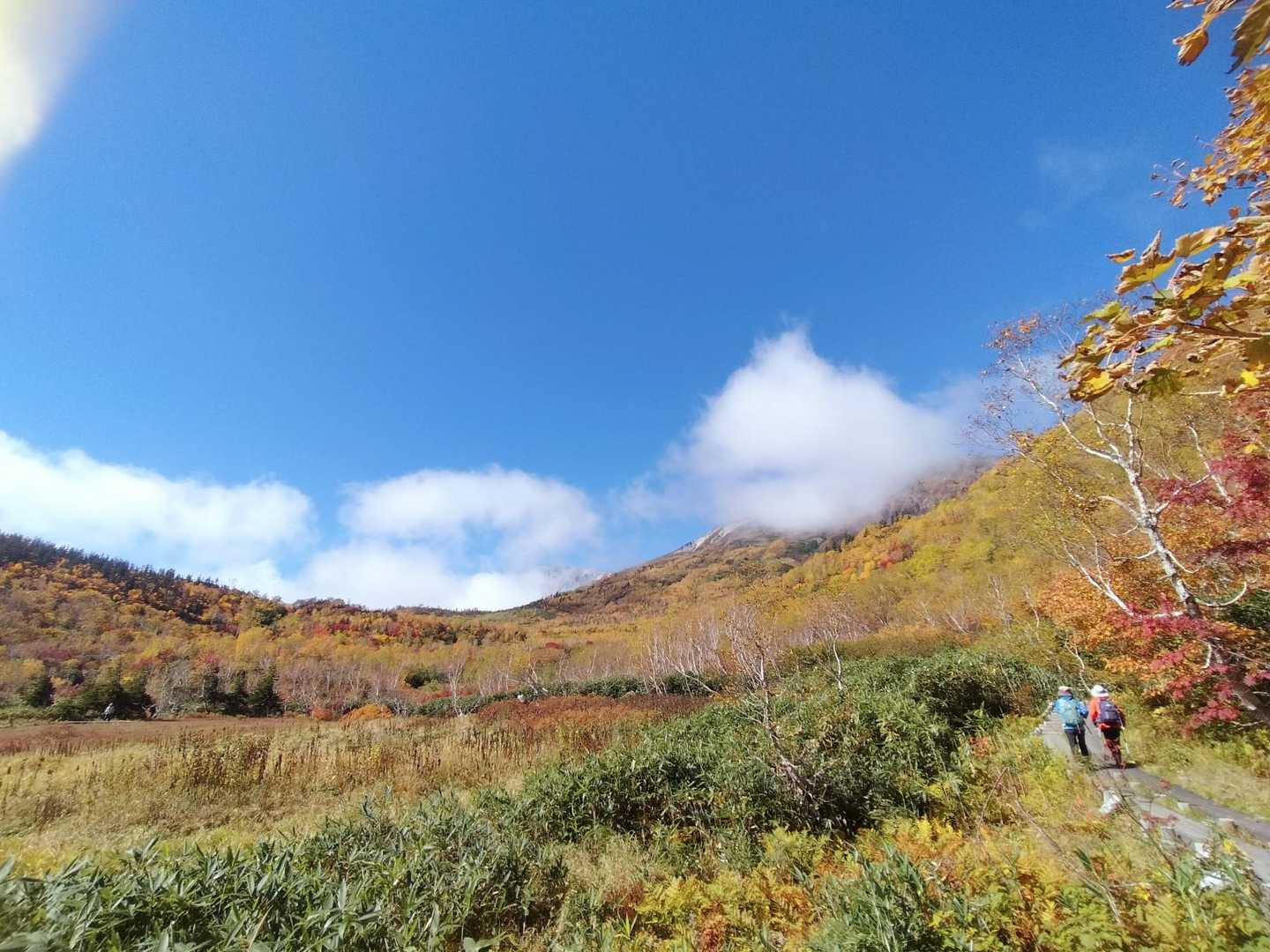 栂池自然園 | 背後には白馬連峰の美しい稜線。四季の移ろいが池塘に映える高層湿原の写真