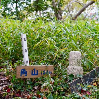 
　　　一応　山頂GET❣️
