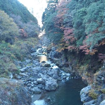 鳩の巣渓谷を見下ろす