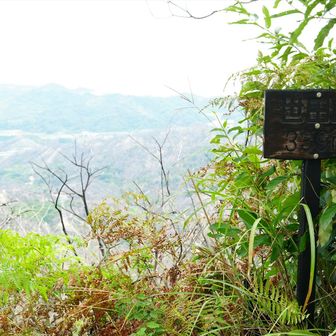世田山に着くと山頂標識が
あったけど、焼けたのか
かなり黒焦げじゃないか～
背景との輝度差が・・・