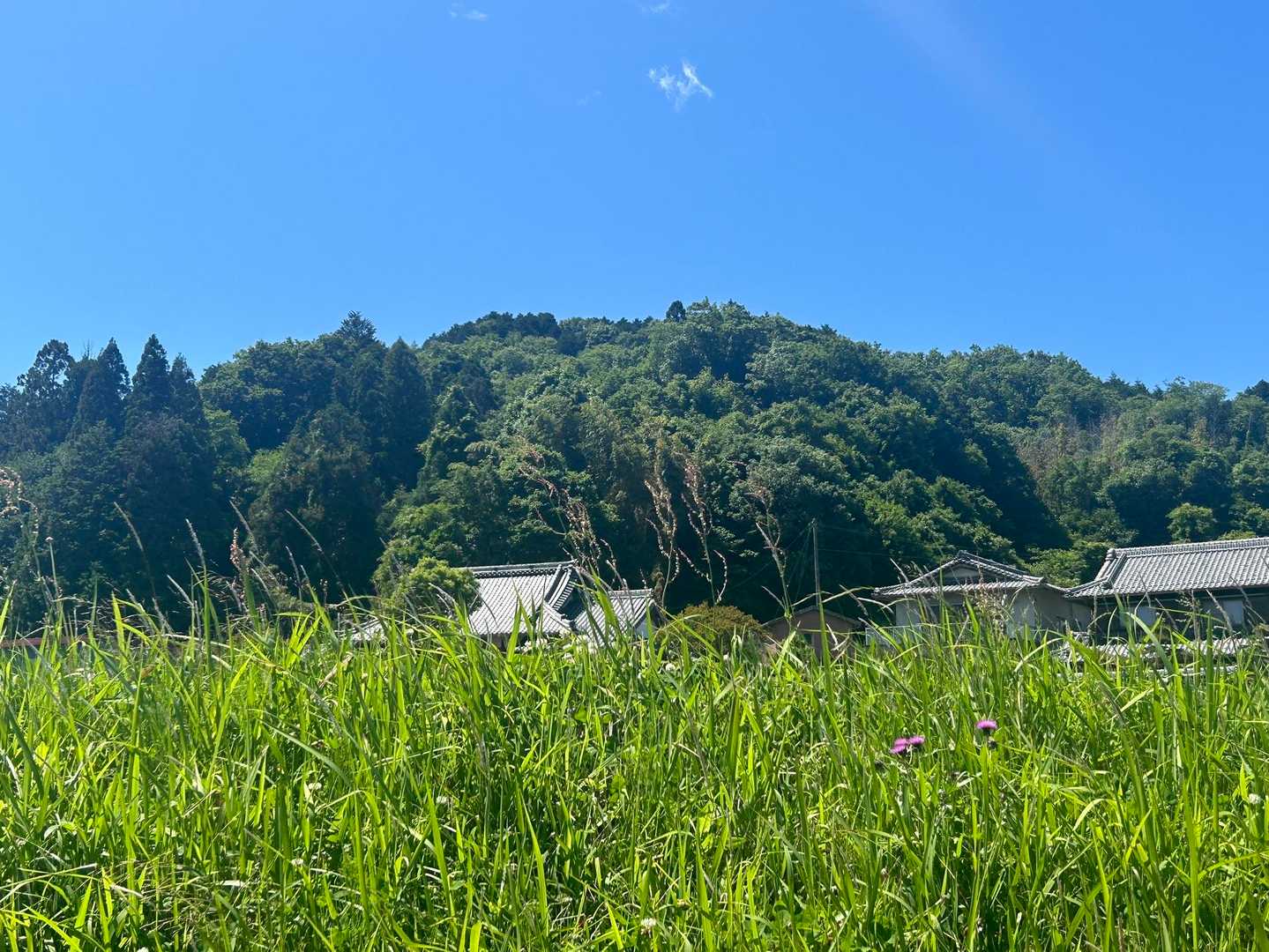 雨乞山あれかな…