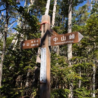 中山峠の分岐。中山の方へ。