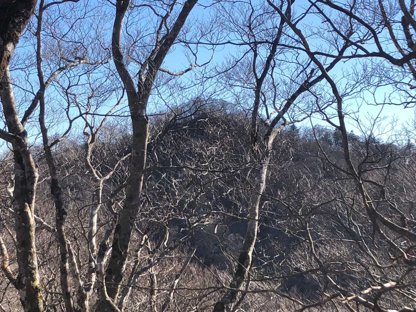 菰釣山方面だけど、中々着かないの図
