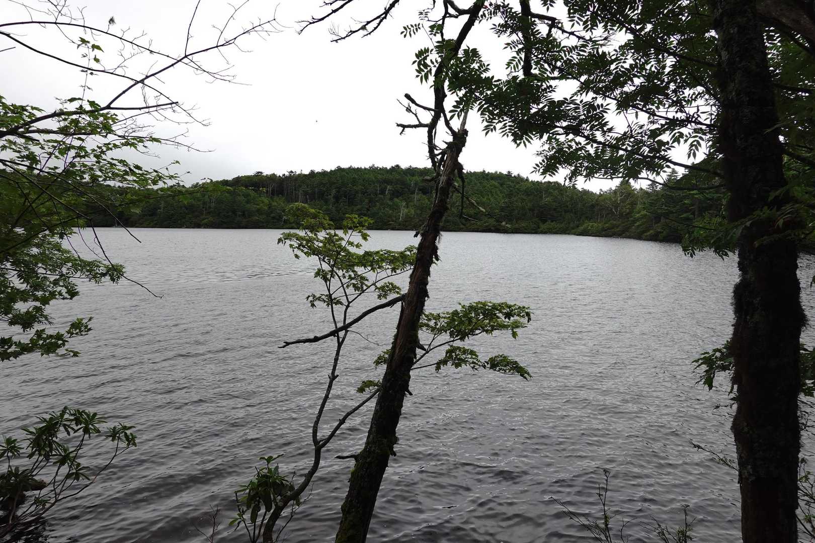 白駒の池に戻りました