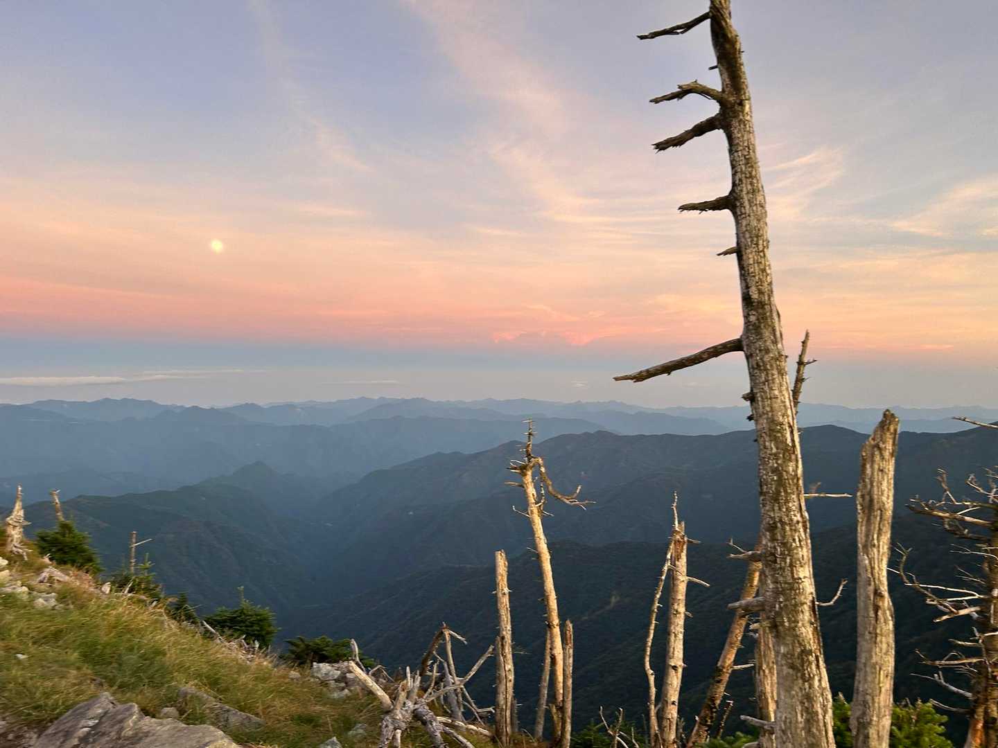 川合登山口-細尾山-八経ヶ岳-弥山 周回コースの写真